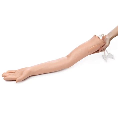 Injectable Training Arm Model Premium Quality – HomoSapiens