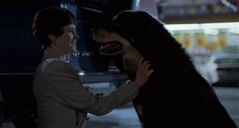 Man's Best Friend movie review - MikeyMo
