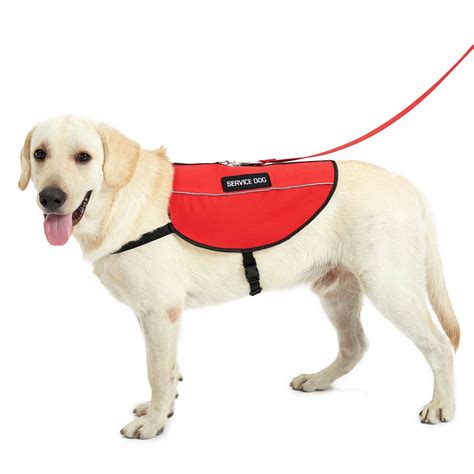Service Animal Vest