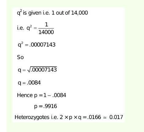 Phenylketonuria is an autosomal recessive disorder of man. If the ...