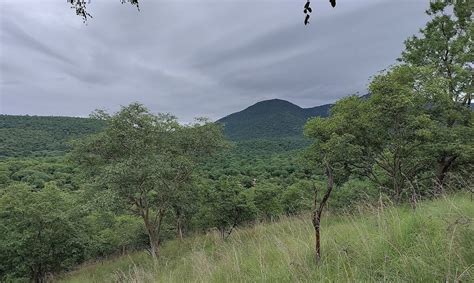 BHEEMESHWARI ADVENTURE & NATURE CAMP (Basavana Halli) - Campground ...