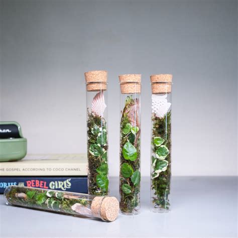 Closed Terrariums | Bring Nature Indoors with ByTheLeaf’s Terrariums ...