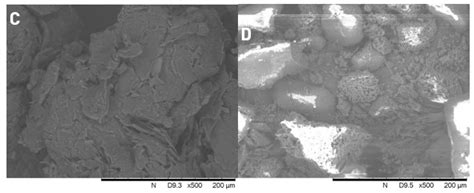 Effect of Molecular Weight on the Dissolution Profiles of PEG Solid ...