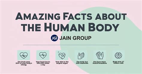 How to Write a Leave Application For School/college/ office