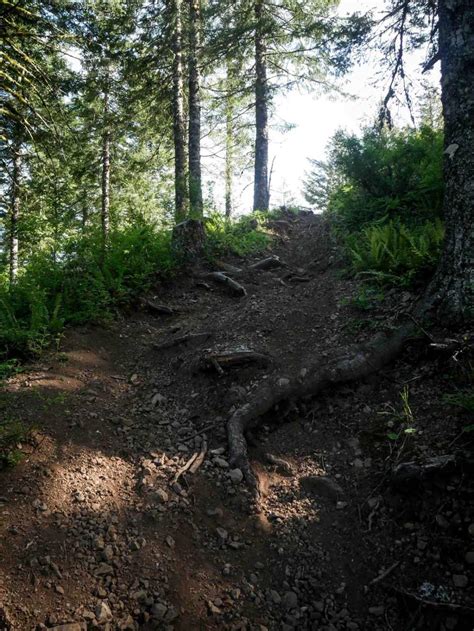 #41C, Oregon - GPS Trail Map, Conditions & Difficulty | onX Offroad