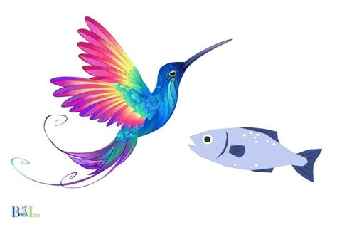 Image result for Hummingbird Fish