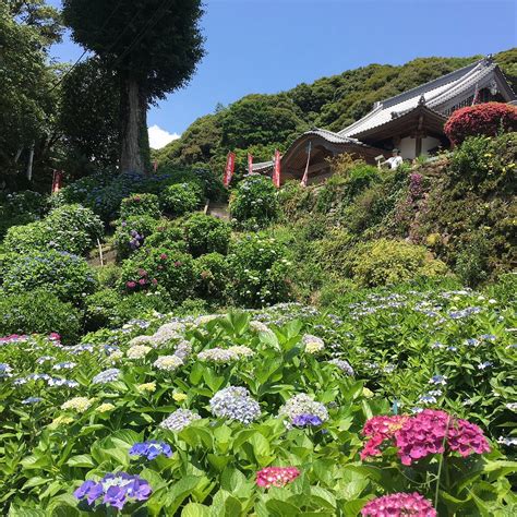 Mt. Sugitake Fudoson Daishoji Temple, Takeo - Tripadvisor