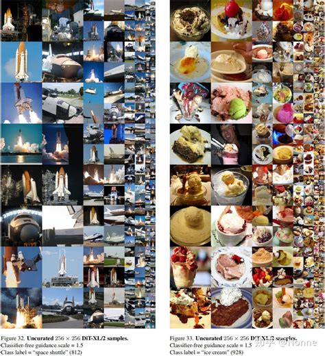 Diffusion Transformer 的图像结果