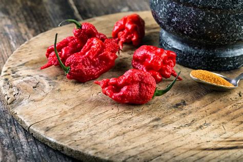 Scoville Scale: How Hot Is a Carolina Reaper? - A-Z Animals