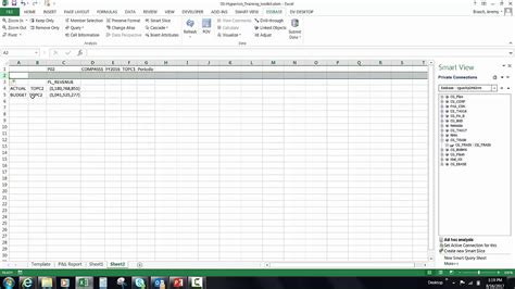 Image result for SmartView Excel Tutorial