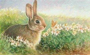 Image result for Combat Easter Bunny Painting Ideas