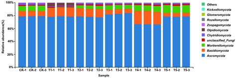 Effects of Exogenous Methyl Jasmonate on Metabolism and Soil Activity ...