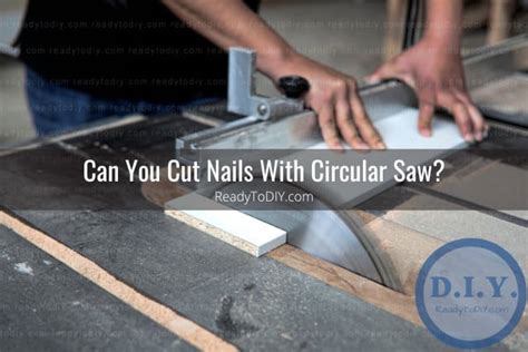 What Can You Use To Cut Nails (How To) - Ready To DIY