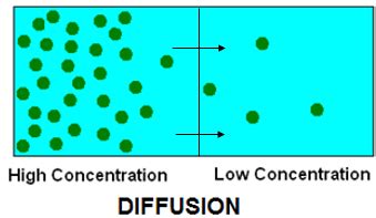 Image result for Diffusion Overview