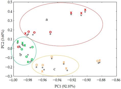 Stability of Paracetamol Amorphized by Co-Melting with Various ...