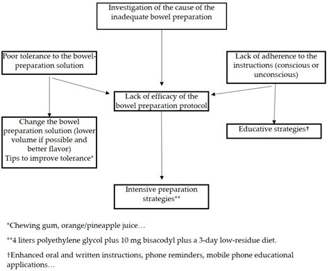 Bowel Cleansing | Encyclopedia MDPI