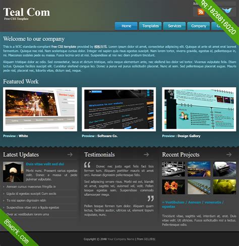 网页设计案例网页模板免费下载 - 模板王