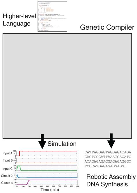 Image result for Program a Gene Intellicode
