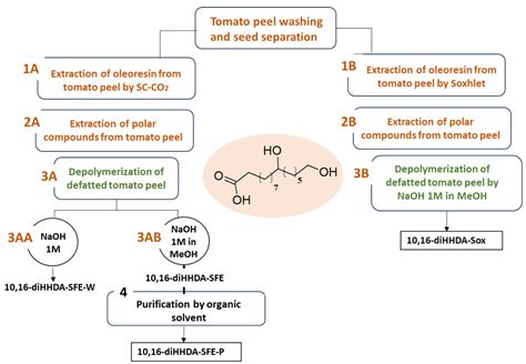 Transforming Agro-Waste Cutin into Sustainable Materials for Biomedical ...