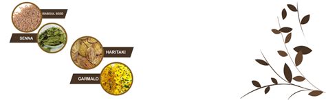 Buy POLY CARE Ayurvedic relief from constipation, indigestion with ...