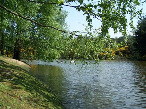 Rufford Photos - Featured Images of Rufford, Nottinghamshire - Tripadvisor