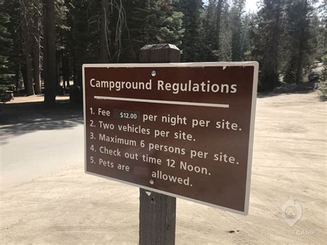 Tamarack Flat Campground, Yosemite National Park, CA - Latest Reviews ...
