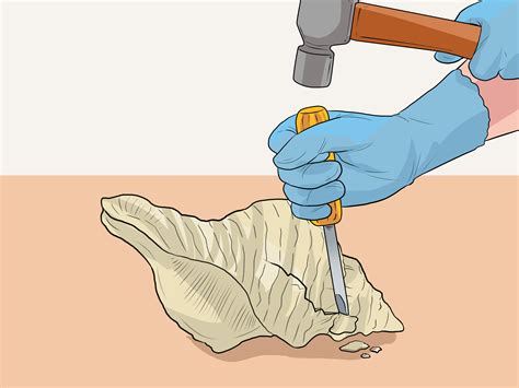 How to Polish Shells 的图像结果