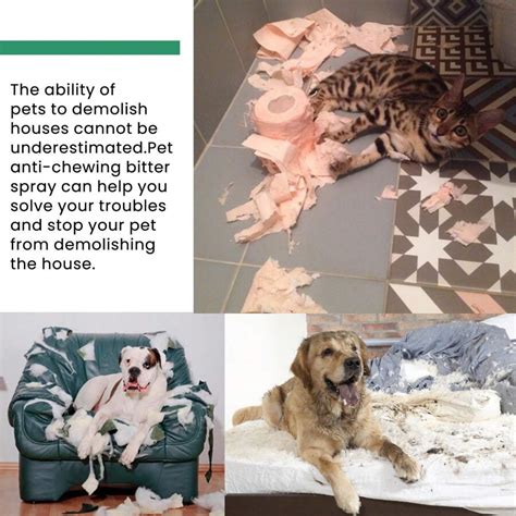 YEGBONG Pet Anti-Chew Spray, Gedragscorrigerende Spray voor Katten en ...