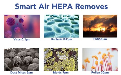 H3O Original Z1 series Anti Virus HEPA +ACTIVATED CARBON filters set ...