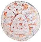 Welcome to PCG Grading