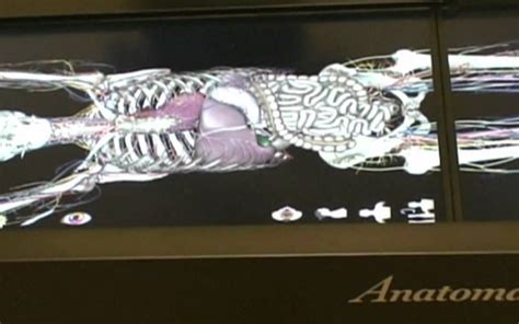 Virtual Dissection Table 的图像结果