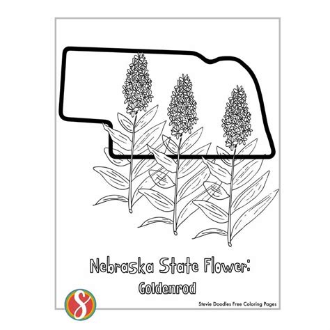 Free Goldenrod Coloring Pages — Stevie Doodles