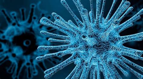 Researchers have found a microscopic organism that feeds on viruses ...