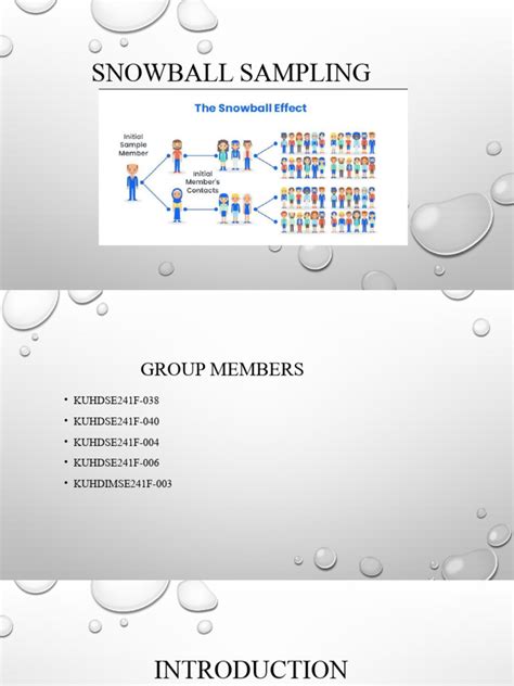 Snowball Sampling 的图像结果