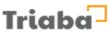 Paid Online Surveys - Triaba India | How to Make Money Online