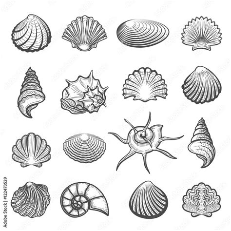 Image result for Shell Drawing Kit