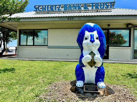 Squirrel Gallery | Seguin, TX