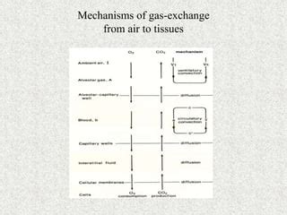 Image result for Reduced Diffusion Capacity