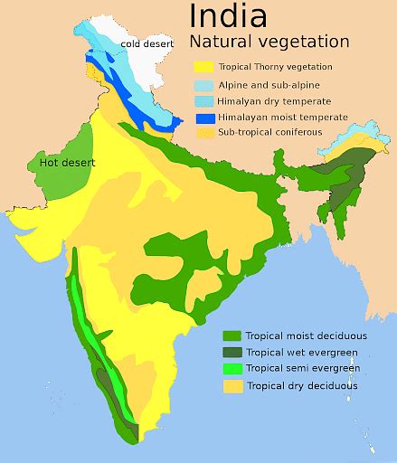 Himalayan Moist Temperate Forest - Environment Notes
