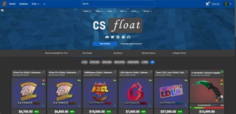 Image result for Csfloat Interface