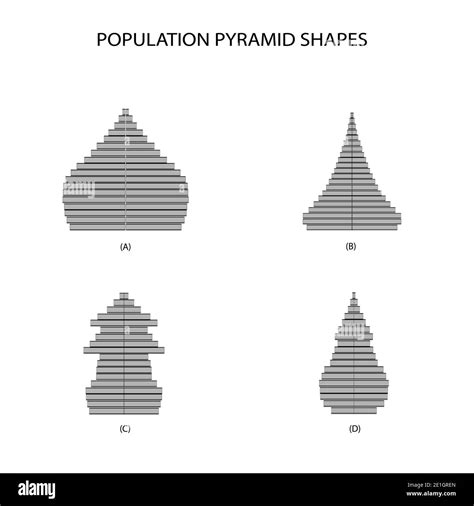 Population and Demography, Illustration of 4 Types of Population ...