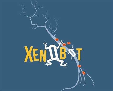 How Will India Look in 2047? A 47 Words Dictionary Shaping 2047