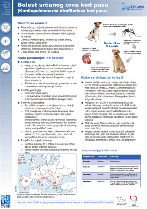 Bolest srčanog crva kod pasa - CSAVS/OVMPH