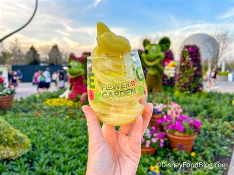 We Paid $32.75 for DOLE Whip in EPCOT…Was It Worth It? | the disney ...