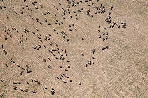 Image result for Natural Compaction