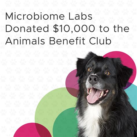 Microbiome Labs | Microbiome Labs