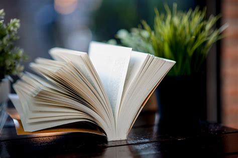 Image result for Book Report Introduction Examples