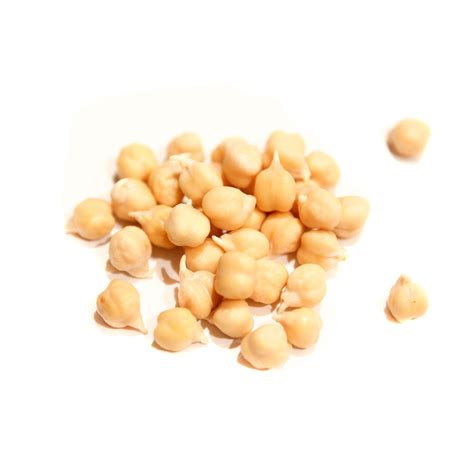 Organic Garbanzo Bean Sprouting Seed | Sproutman