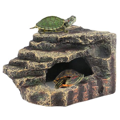 Reptiles Turtles