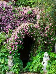 Garden Climbing Plants And Flowers by 17 Best Images About Flowers On Gardens Garden Climbing Plants And Flowers
